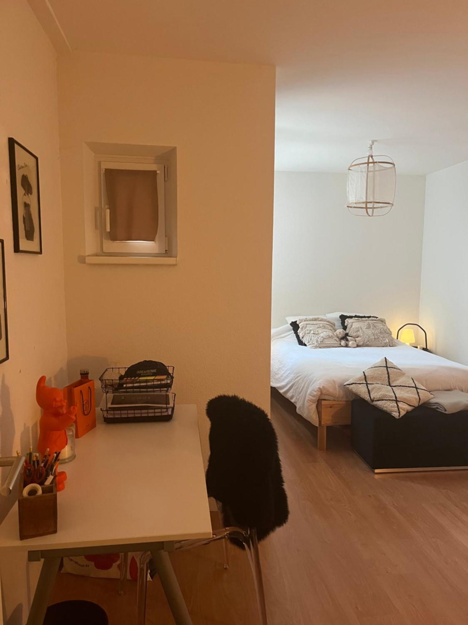 Joli Appartement Au Coeur De Strasbourg Extérieur photo